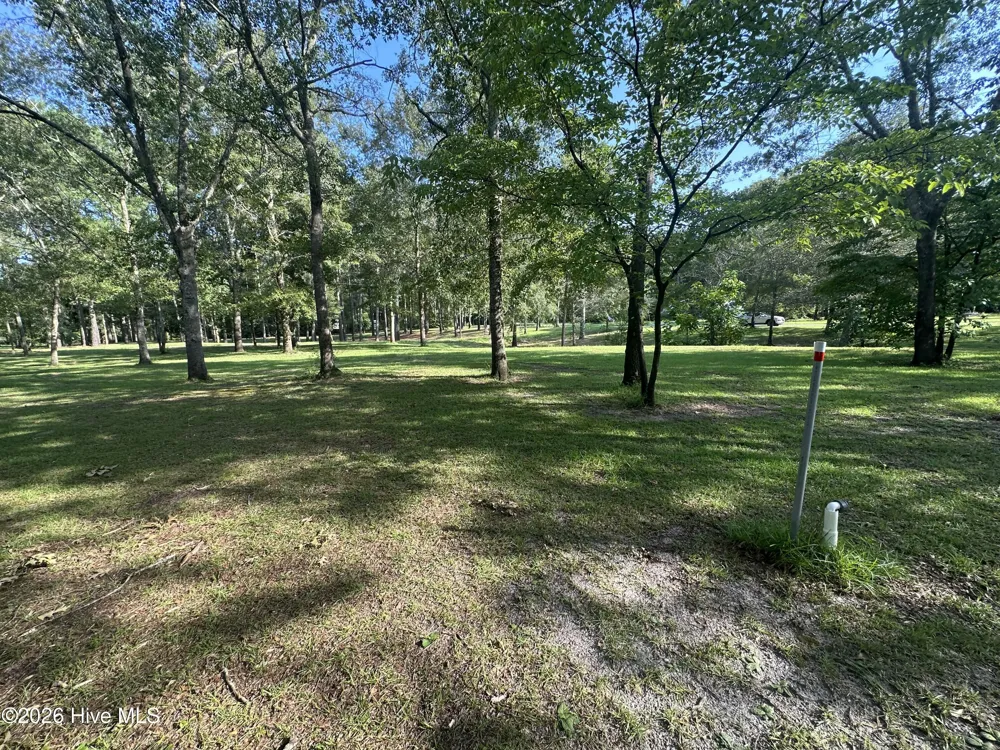 43 Black River Lane Harrells, NC 28444