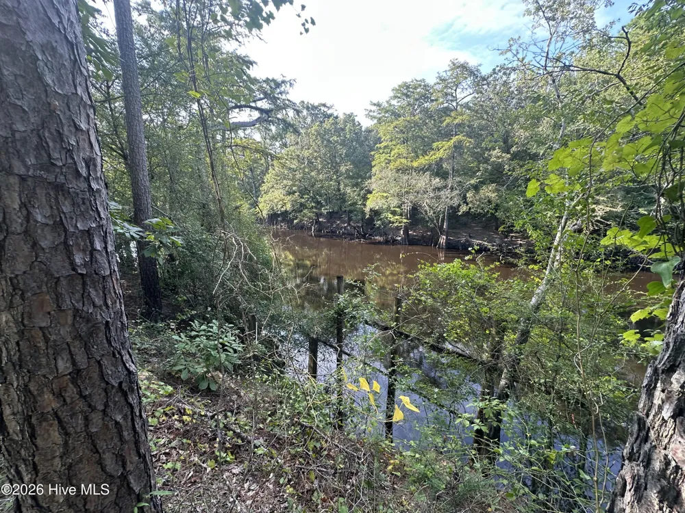 43 Black River Lane Harrells, NC 28444