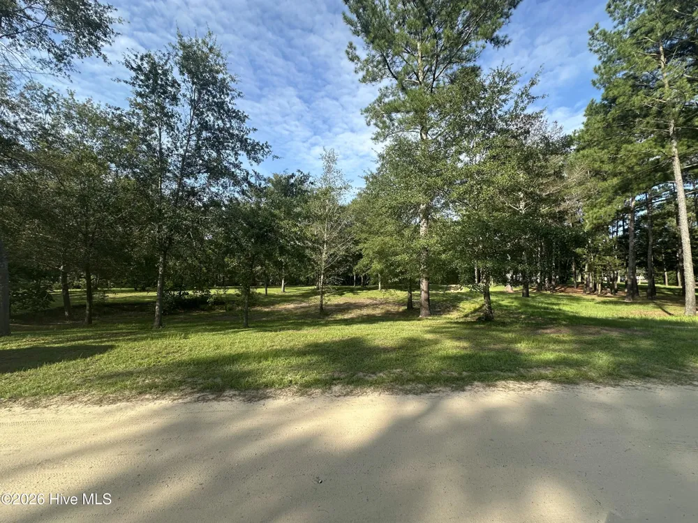 43 Black River Lane Harrells, NC 28444