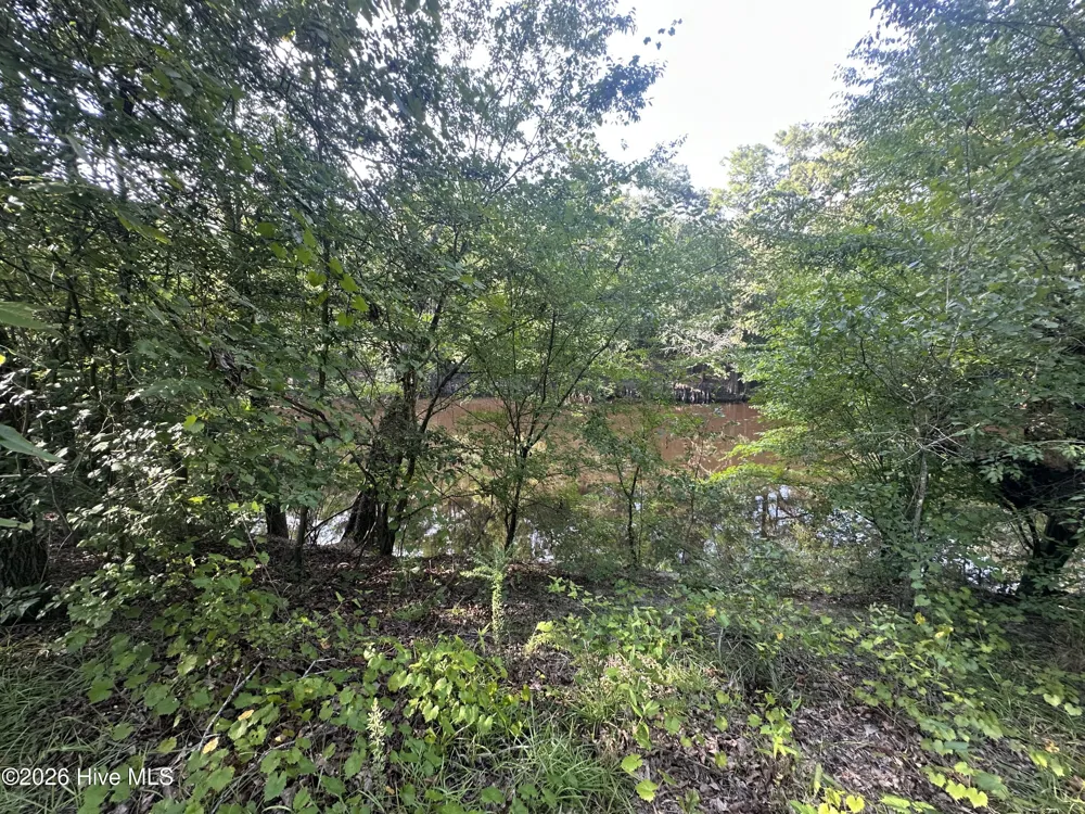 43 Black River Lane Harrells, NC 28444