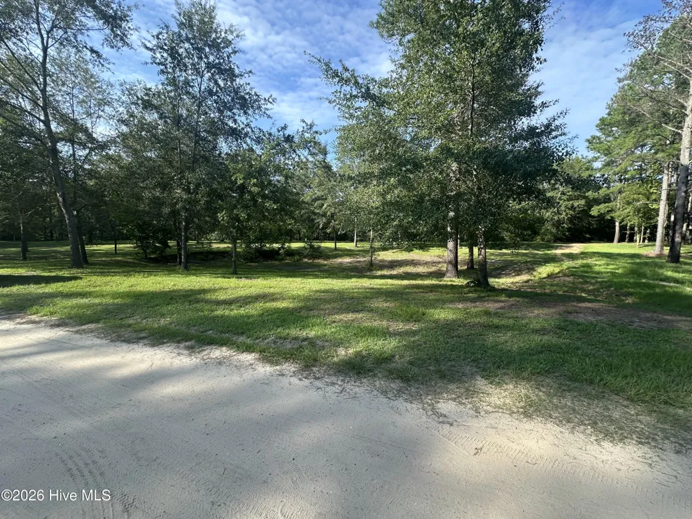 43 Black River Lane Harrells, NC 28444