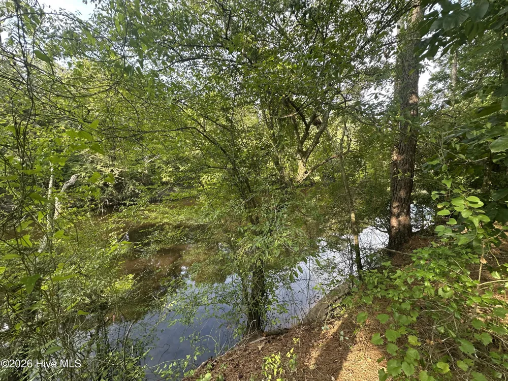 43 Black River Lane Harrells, NC 28444