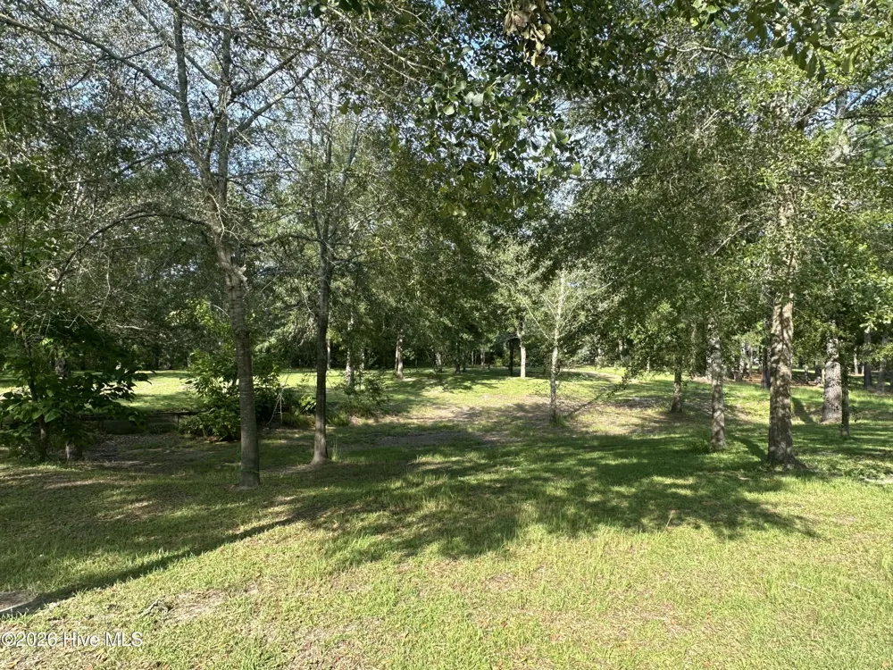 43 Black River Lane Harrells, NC 28444