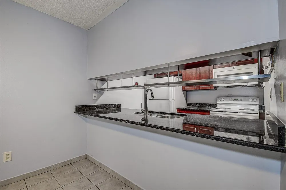 10306 COUNCILS WAY Temple Terrace, FL 33617