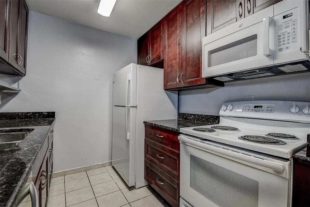 10306 COUNCILS WAY Temple Terrace, FL 33617