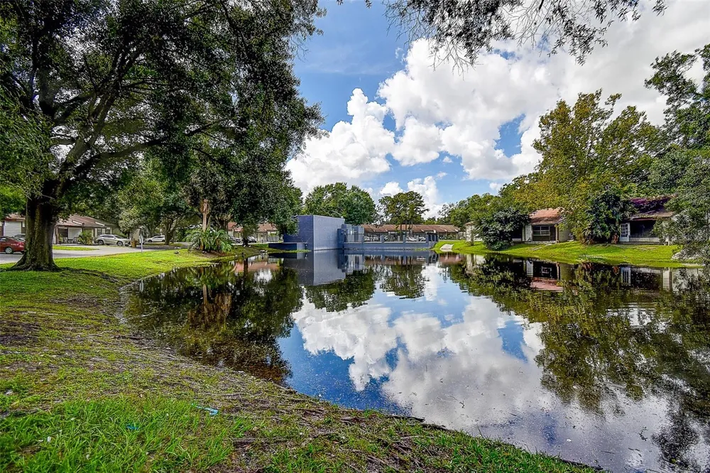 10306 COUNCILS WAY Temple Terrace, FL 33617