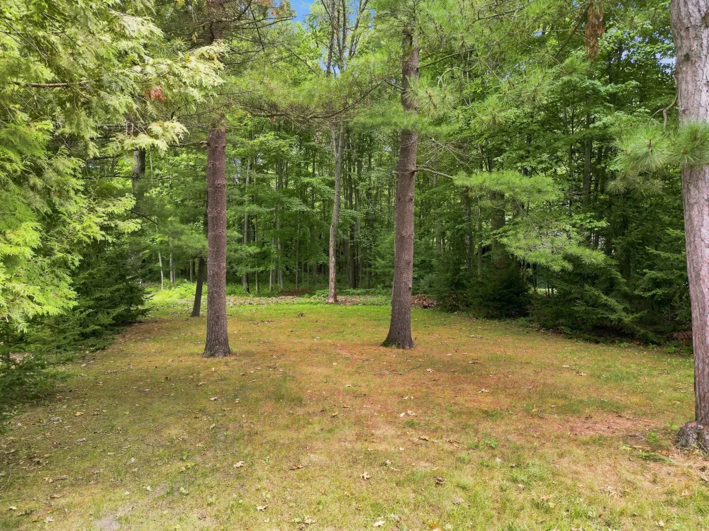 9545 E School Section Lake Drive Morton Township, MI 49332