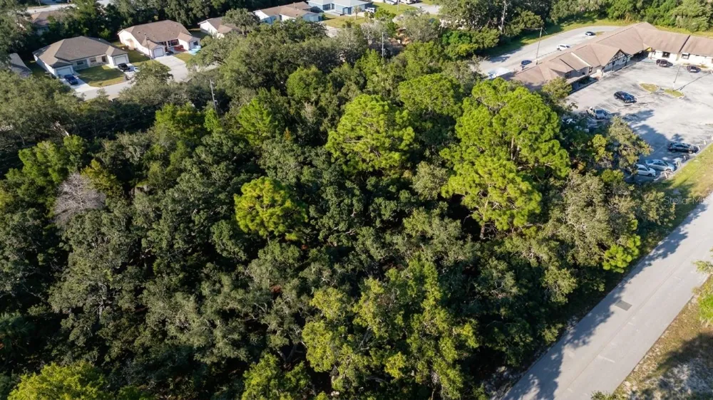 1347 KASS CIRCLE Spring Hill, FL 34606