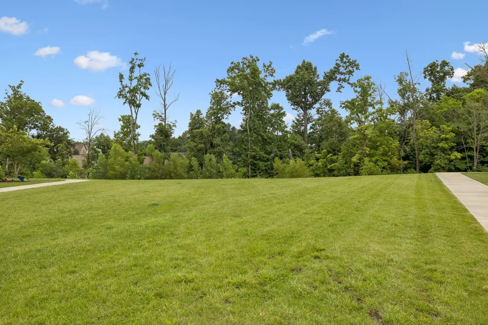 310 Buckner Cir Mount Juliet, TN 37122