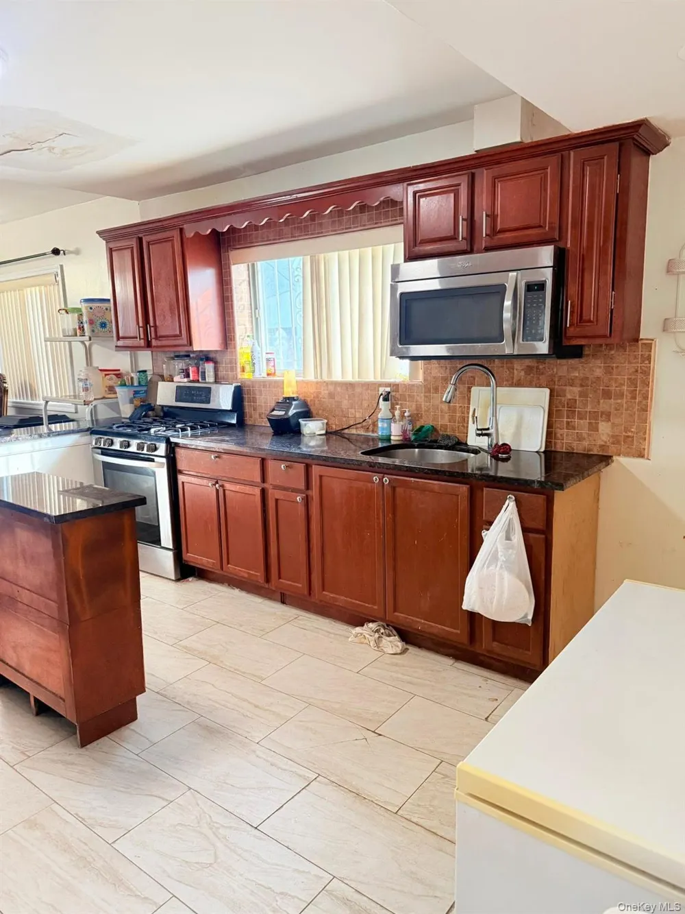 11219 176th Street Jamaica, NY 11433