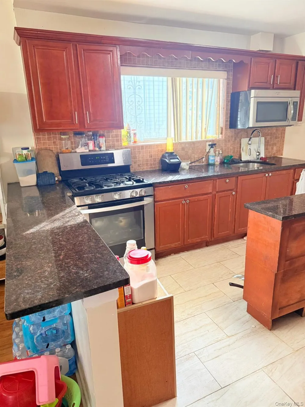 11219 176th Street Jamaica, NY 11433