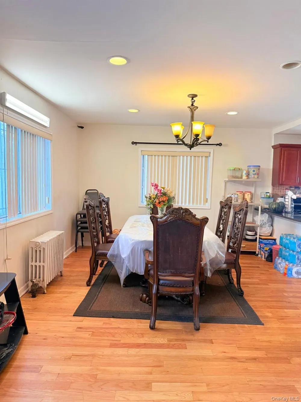 11219 176th Street Jamaica, NY 11433