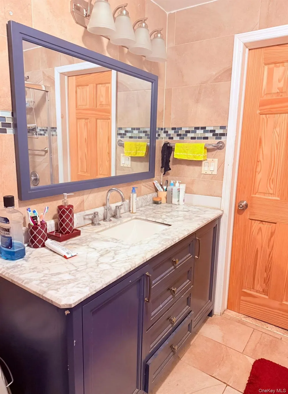 11219 176th Street Jamaica, NY 11433