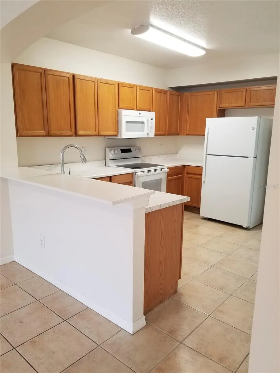 6116 OLIVEDALE DRIVE Riverview, FL 33578