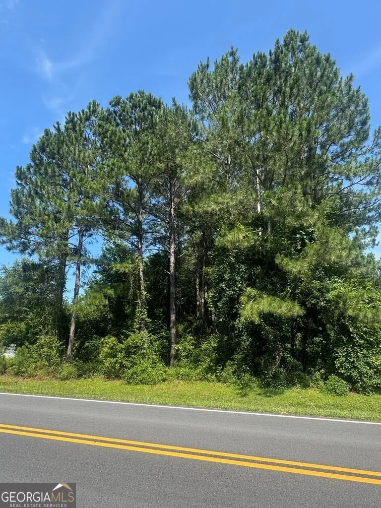 0 Payne RD Rentz, GA 31075