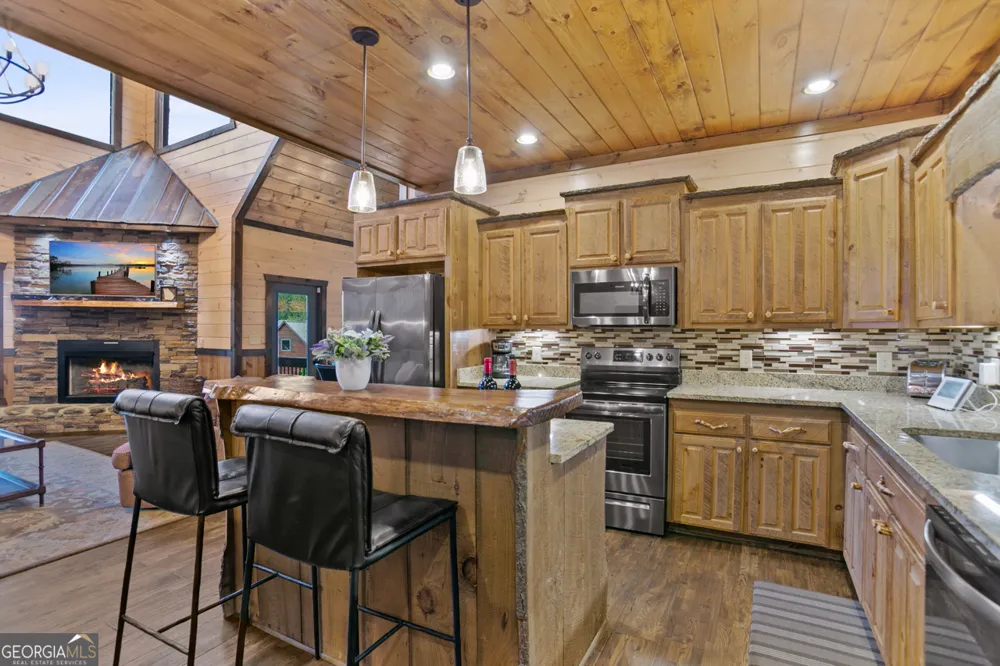 231 Kyle RD Blue Ridge, GA 30513