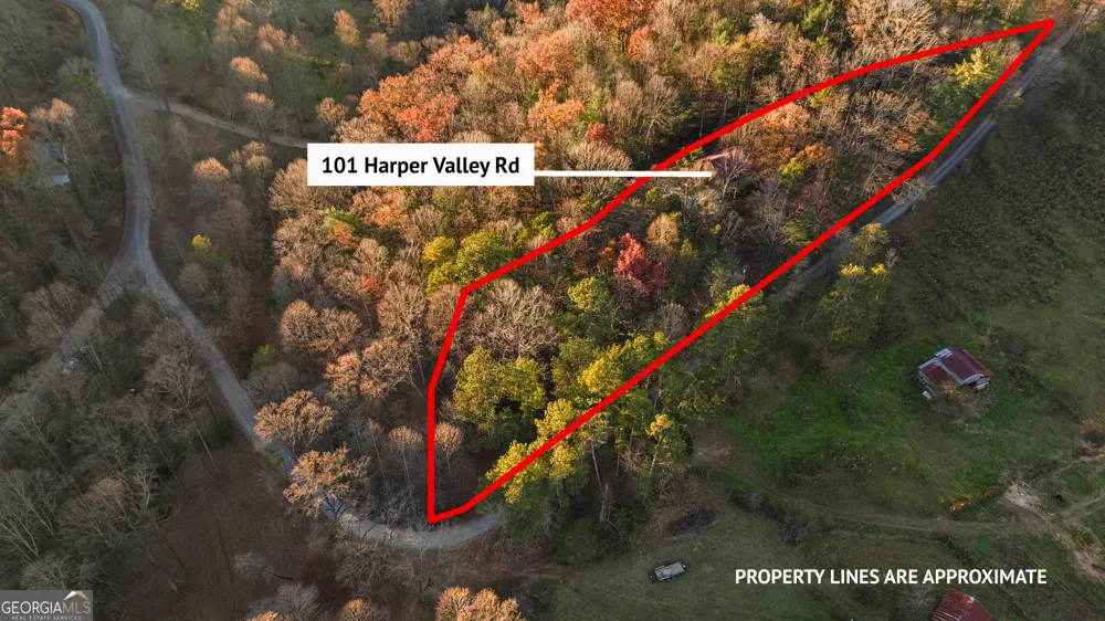 101 Harper Valley RD Ellijay, GA 30540