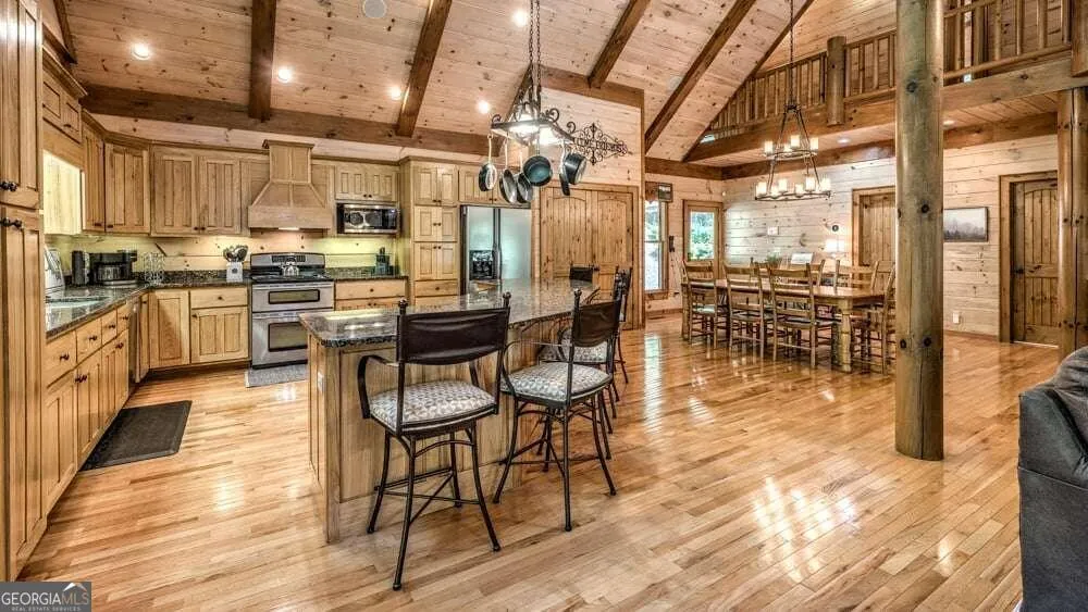 1630 Black Ankle Creek RD Blue Ridge, GA 30513