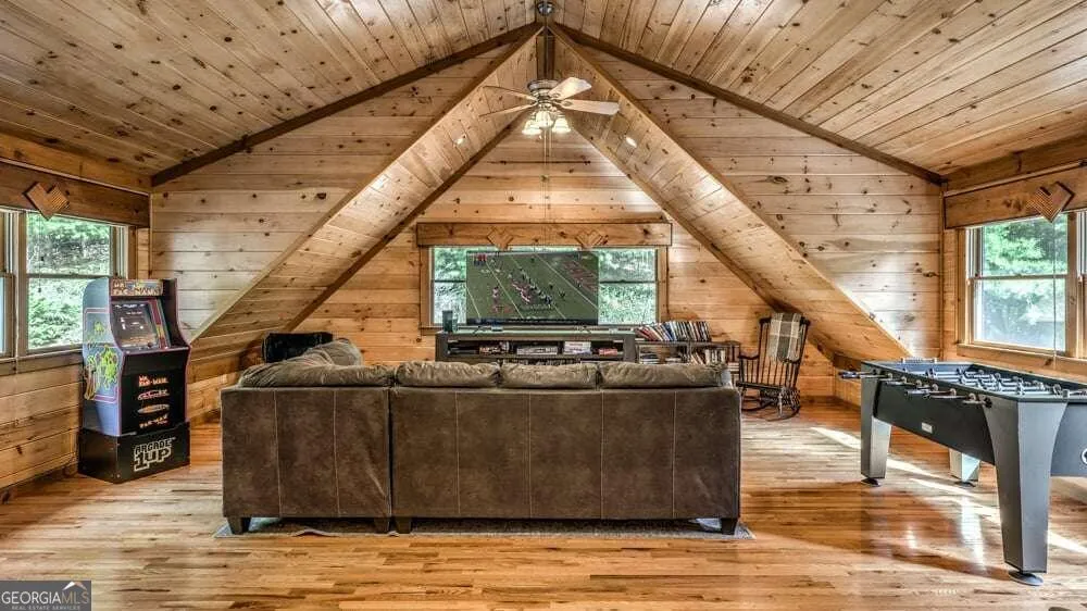 1630 Black Ankle Creek RD Blue Ridge, GA 30513