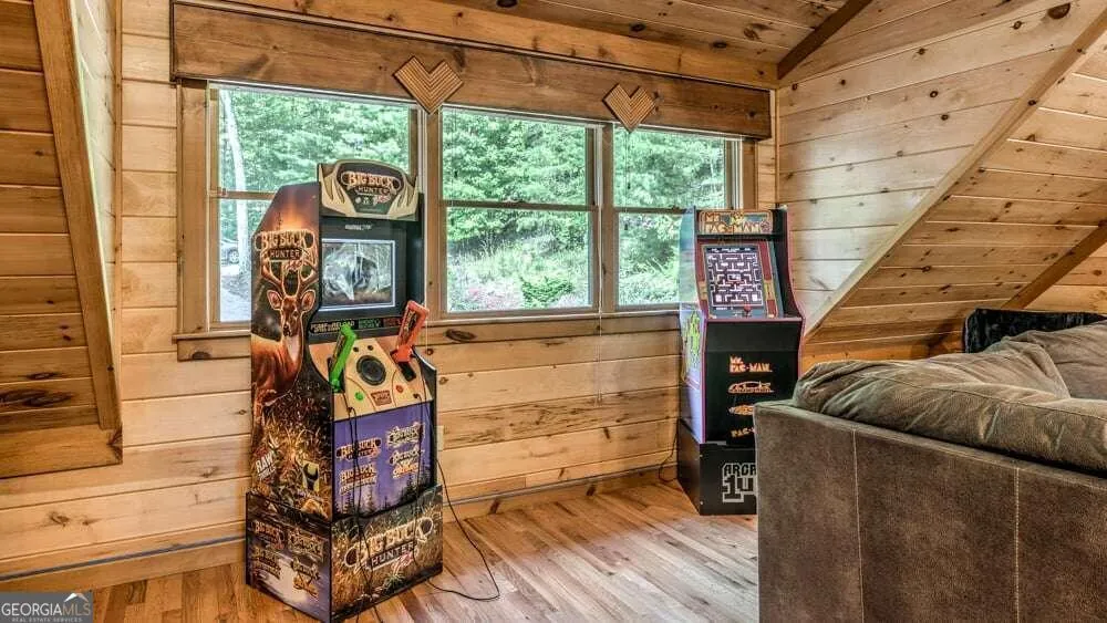 1630 Black Ankle Creek RD Blue Ridge, GA 30513