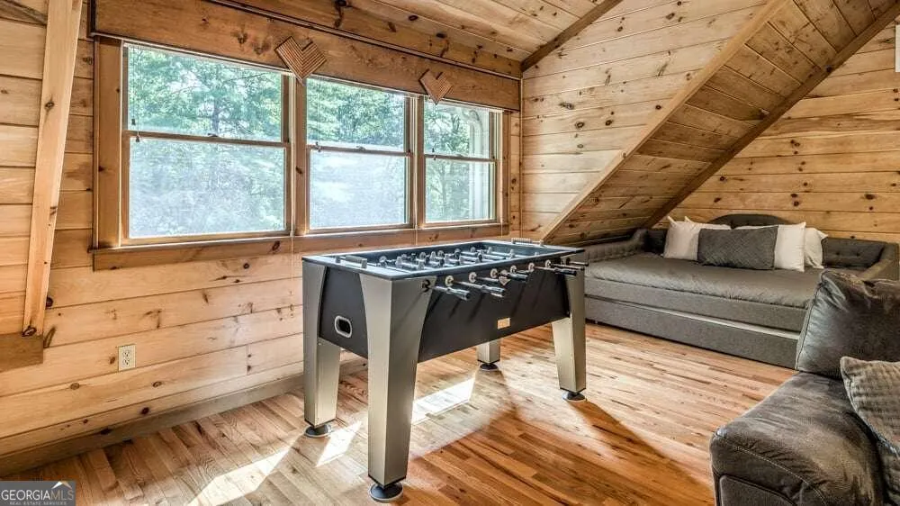 1630 Black Ankle Creek RD Blue Ridge, GA 30513