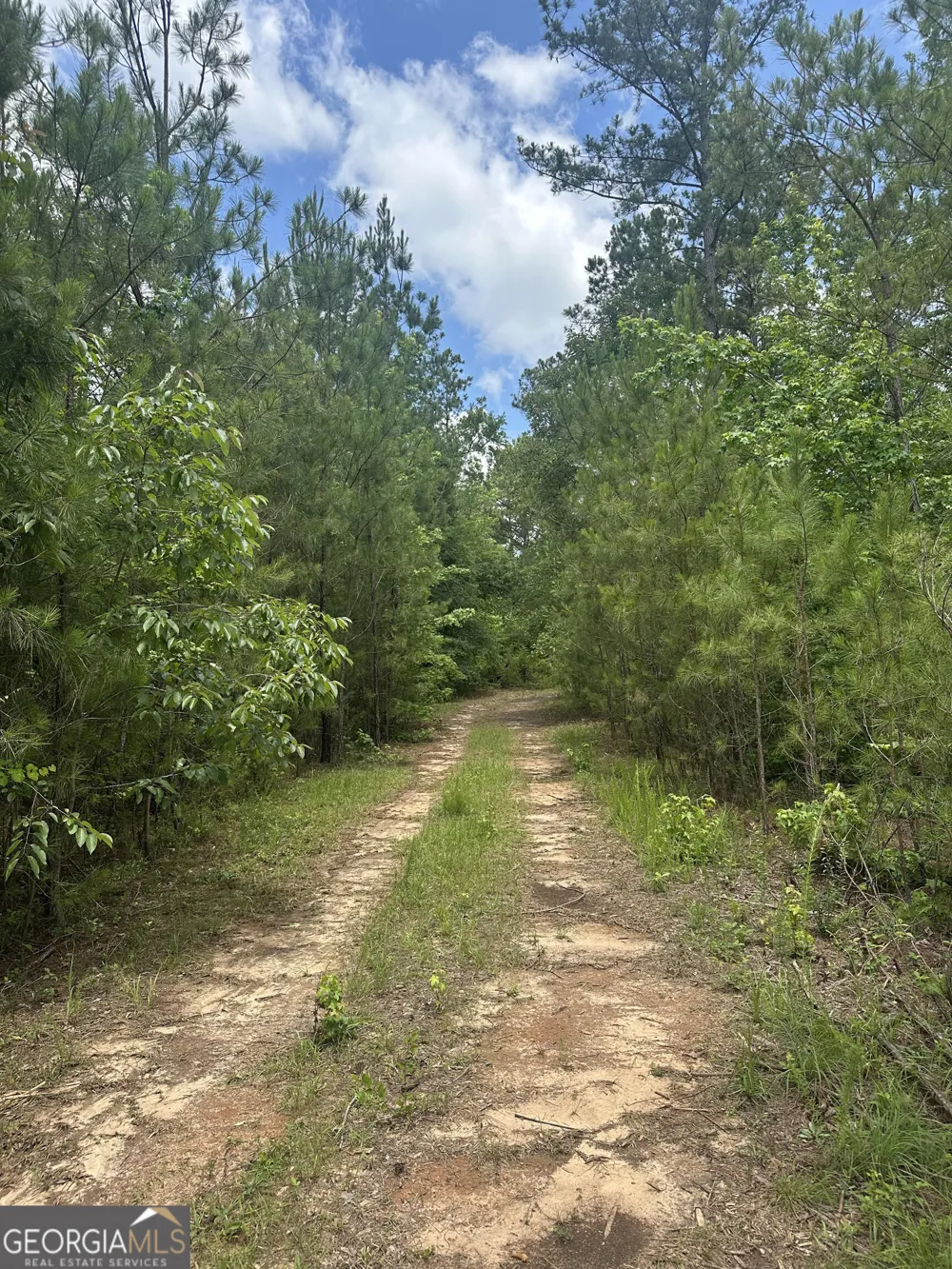 12.35 +/- AC White RD Pine Mountain, GA 31822