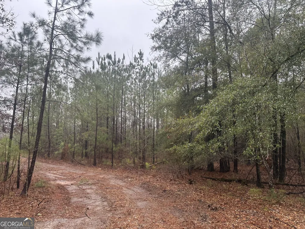 12.35 +/- AC White RD Pine Mountain, GA 31822
