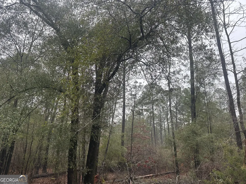 12.35 +/- AC White RD Pine Mountain, GA 31822