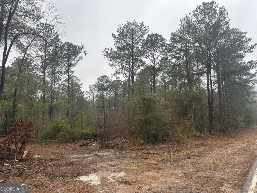 12.35 +/- AC White RD Pine Mountain, GA 31822