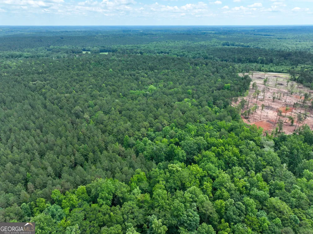 12.35 +/- AC White RD Pine Mountain, GA 31822