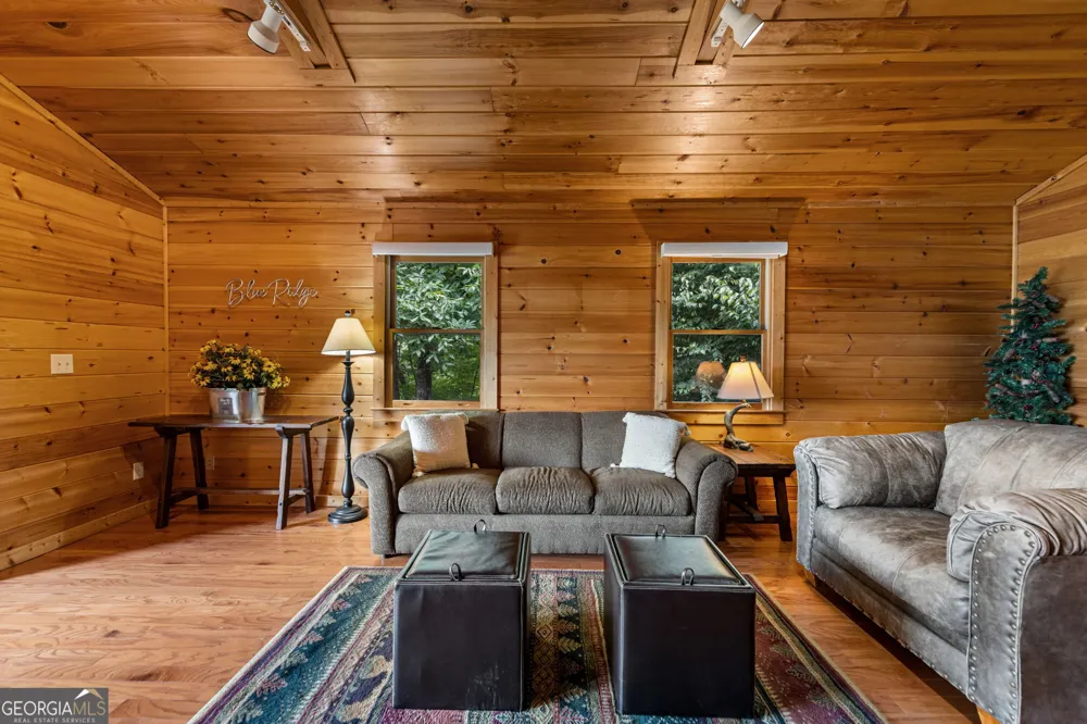 1571 W Campbell Camp RD Blue Ridge, GA 30513