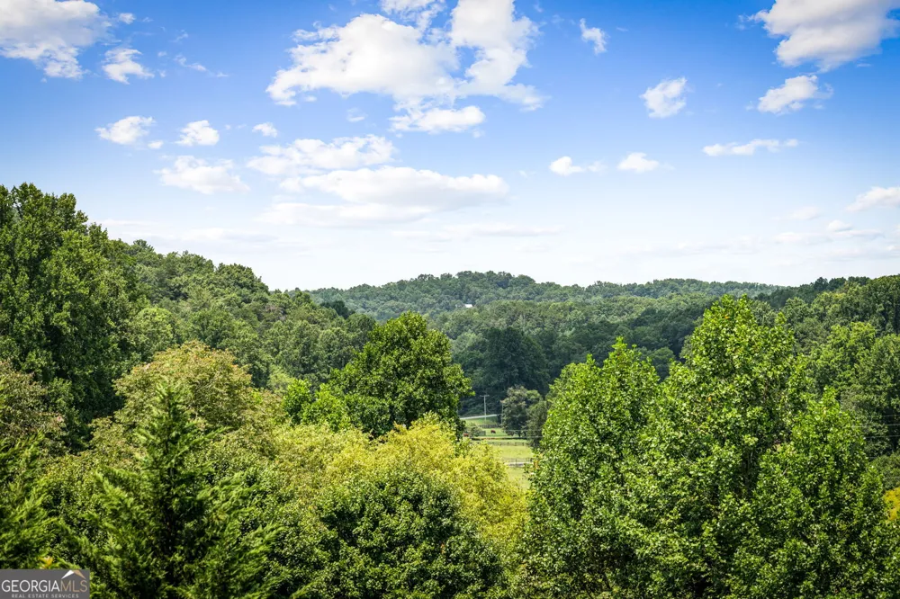 1571 W Campbell Camp RD Blue Ridge, GA 30513