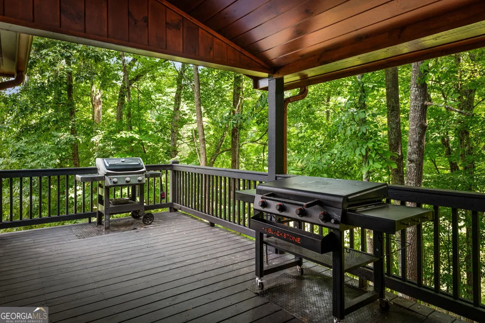 1571 W Campbell Camp RD Blue Ridge, GA 30513