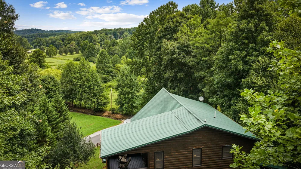 1571 W Campbell Camp RD Blue Ridge, GA 30513