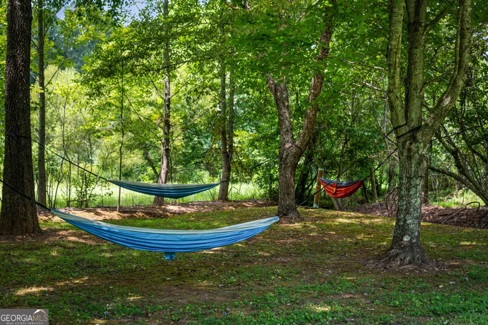 1571 W Campbell Camp RD Blue Ridge, GA 30513