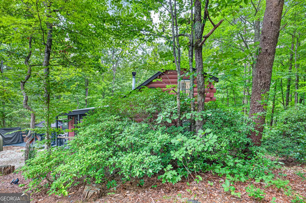 249 Monroe Ridge RD Sautee Nacoochee, GA 30571