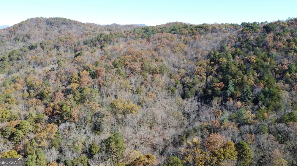 0 Benfield LN Clarkesville, GA 30523