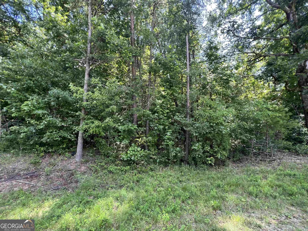 0 W Kytle ST Cleveland, GA 30528