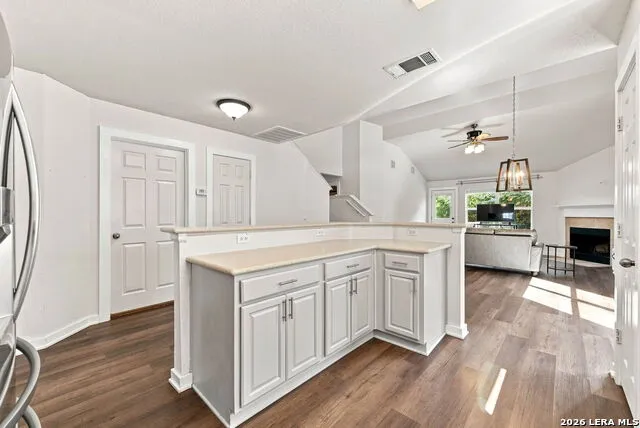 15838 COTTON TAIL LN San Antonio, TX 78255