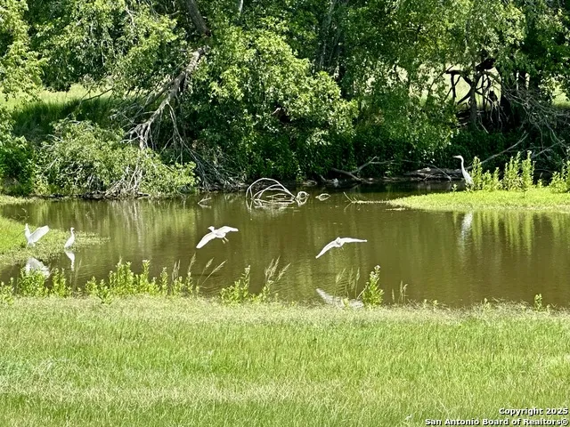 10745 Rosemar Ln Adkins, TX 78101