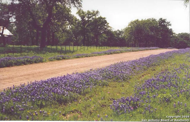 82 Bell Mountain Willow City, TX 78675