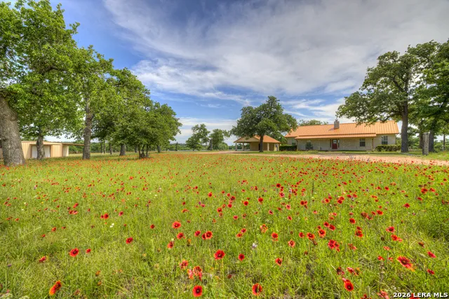 82 Bell Mountain Willow City, TX 78675