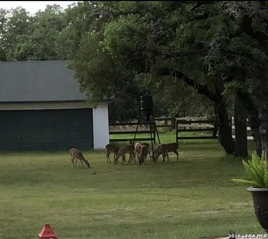 837 Paddy Rd Floresville, TX 78114