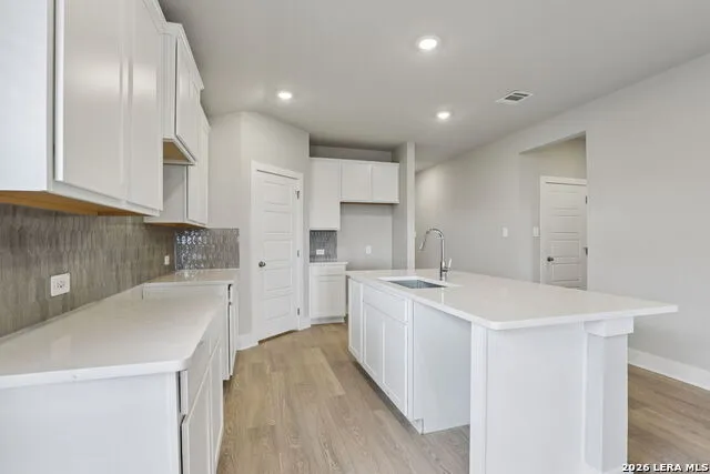 3019 Nash Drive New Braunfels, TX 78132