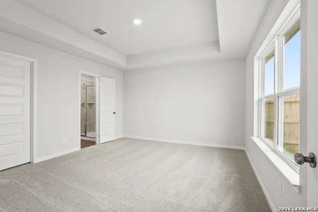8547 Catnip Pass Elmendorf, TX 78112