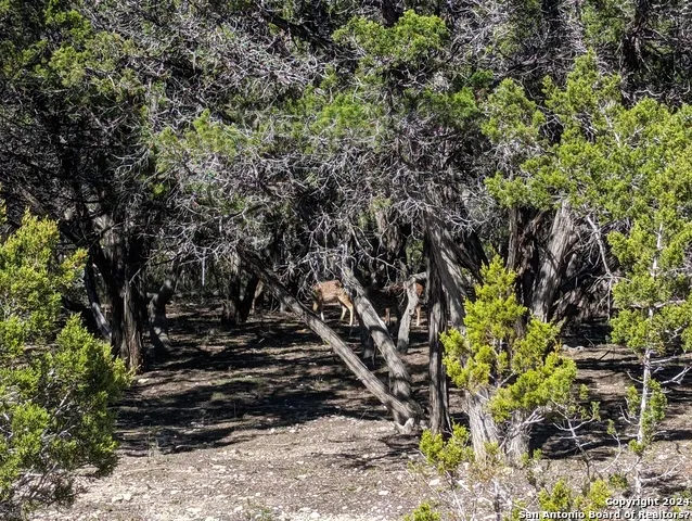 LOT 485 Mountain Trl Bandera, TX 78003