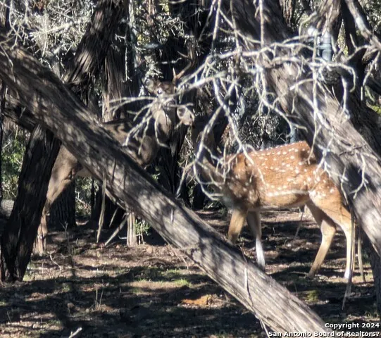 LOT 485 Mountain Trl Bandera, TX 78003