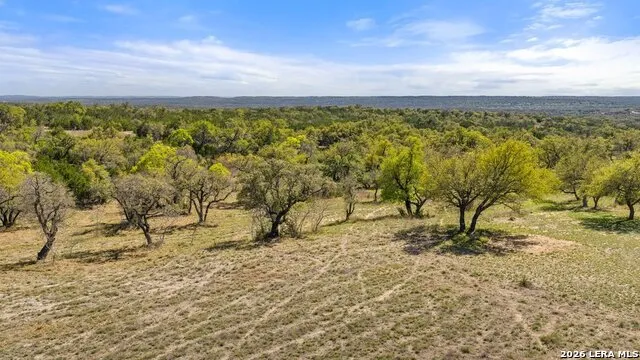 19 STONE RIDGE MOUNTAIN DR Round Mountain, TX 78663