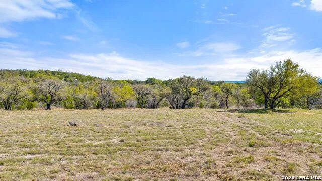 19 STONE RIDGE MOUNTAIN DR Round Mountain, TX 78663