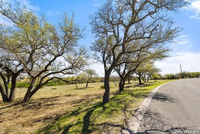 19 STONE RIDGE MOUNTAIN DR Round Mountain, TX 78663